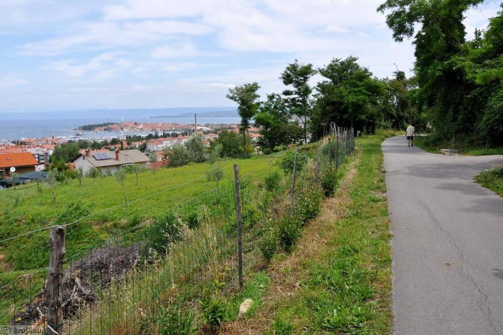 Apartment Izolanka / Great Location / Best Sea And City View 외부 사진